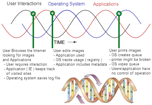 DNA