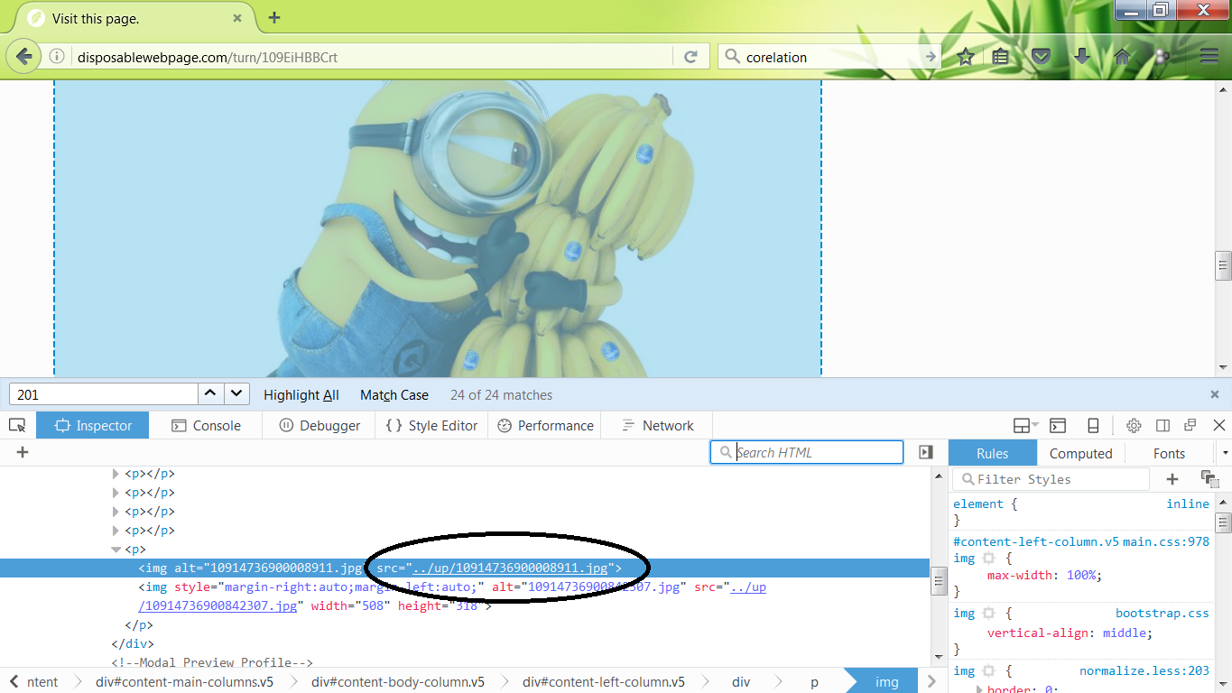 Web Page and the inspect element. Note the image file path for the minion holding bananas