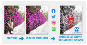 A screenshot of pictures of purple flowering shrubs