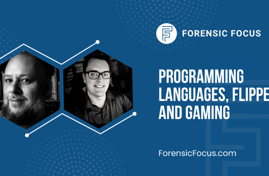 Programming Languages, Flipper And Gaming