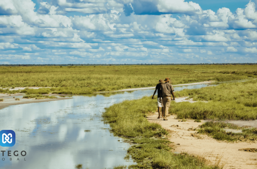 Turning The Tide Against Wildlife Crime With Detego Global’s Cutting-Edge Digital Forensics Tools
