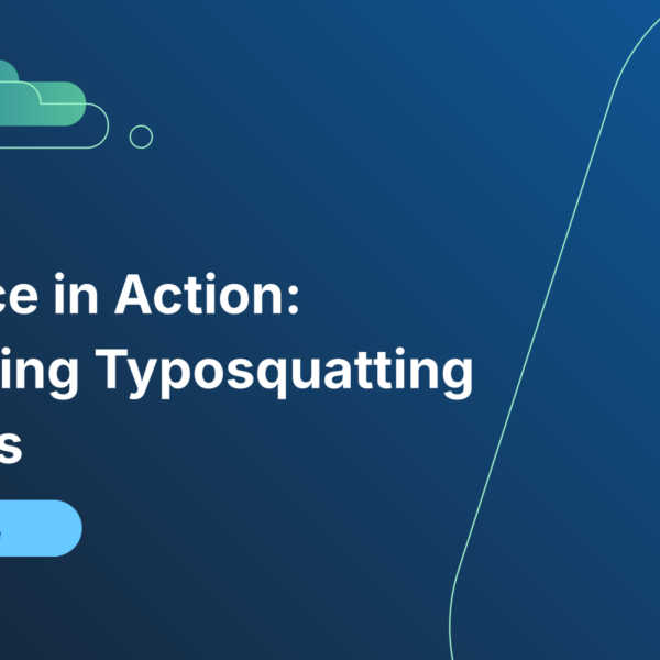 Vigilance In Action: Monitoring Typosquatting Domains