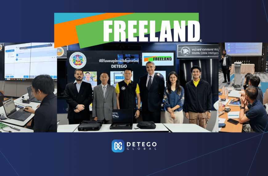 freeland graphic